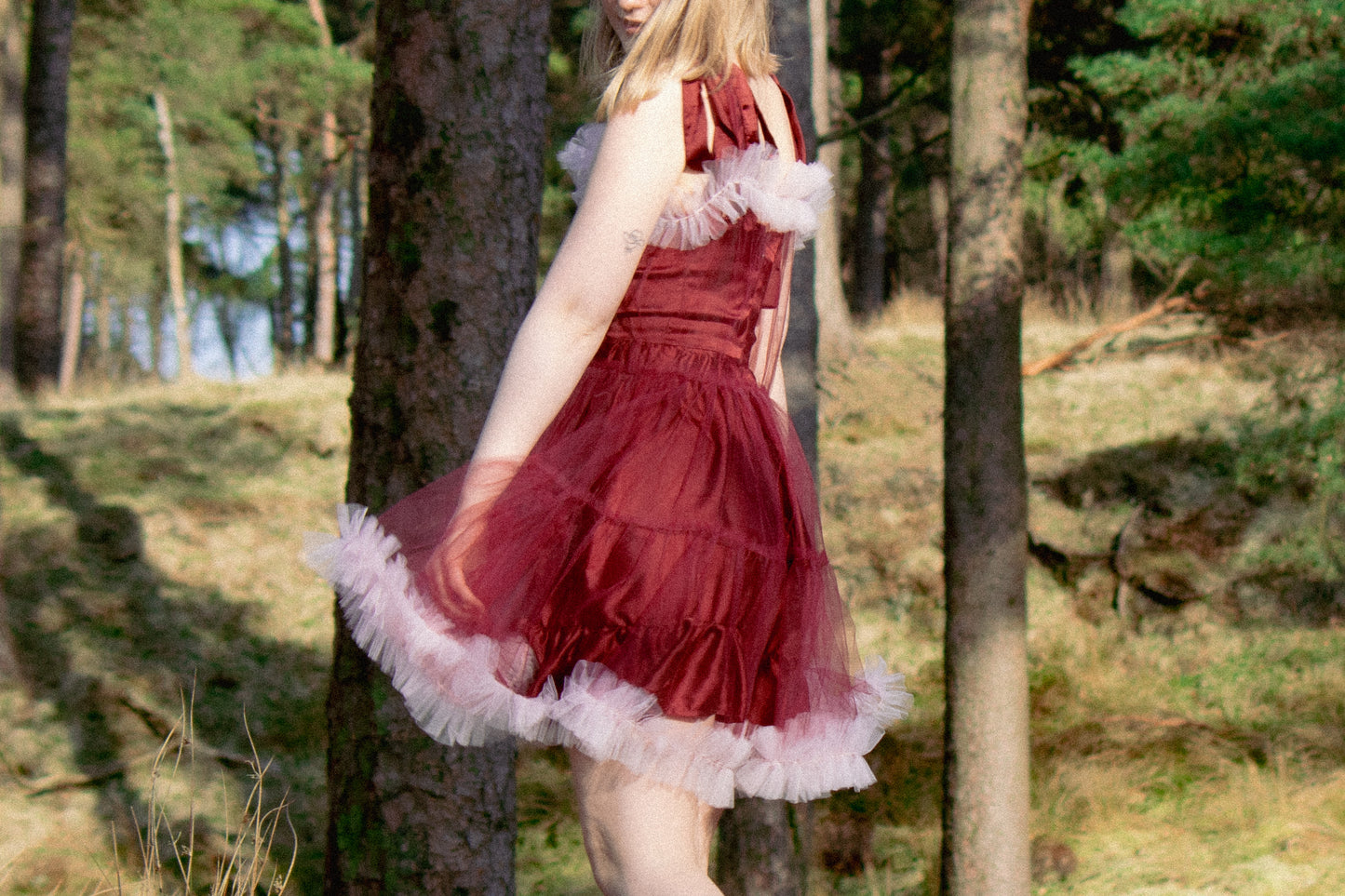 Fairy Tulle Dress